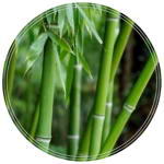 hydrolat bambus